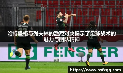 哈哈哈体育